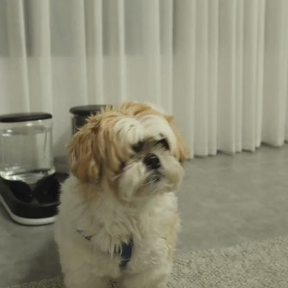 סט אוכל + מים לכלבים | חתולים Pet Bowl